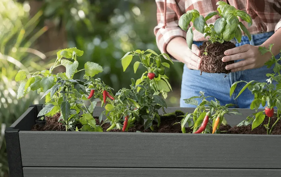 Sale Darwin 29 Gallon Elevated Garden Bed - Graphite Garden Beds