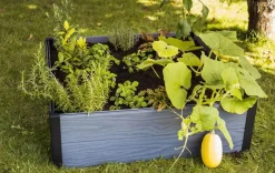 Best Maple Raised Garden Bed - Graphite Garden Beds